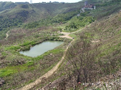 pond