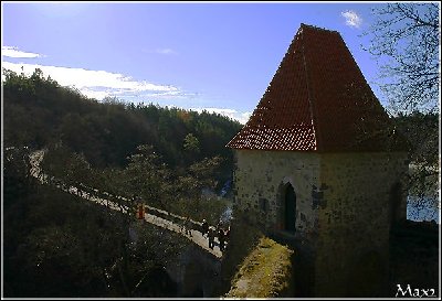 zvikov01