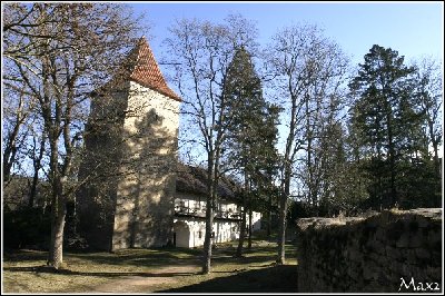 zvikov02