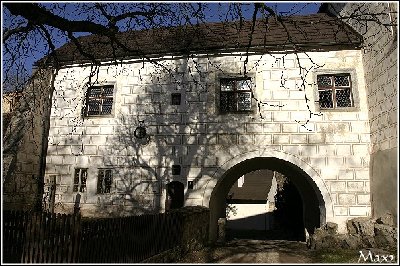 zvikov04