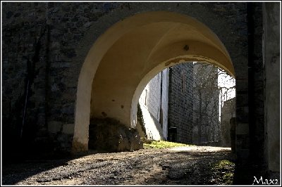 zvikov06