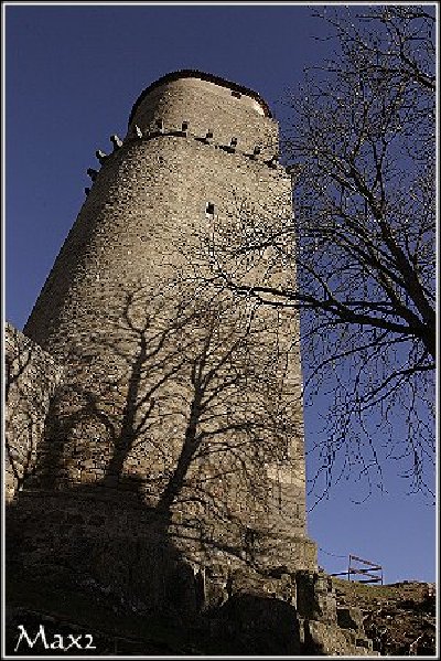 zvikov07