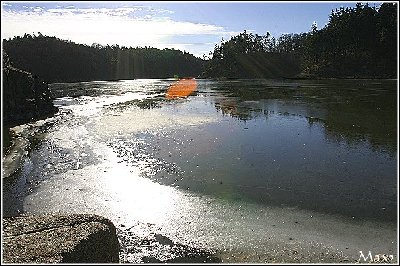 zvikov12