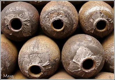 Wine Bottles