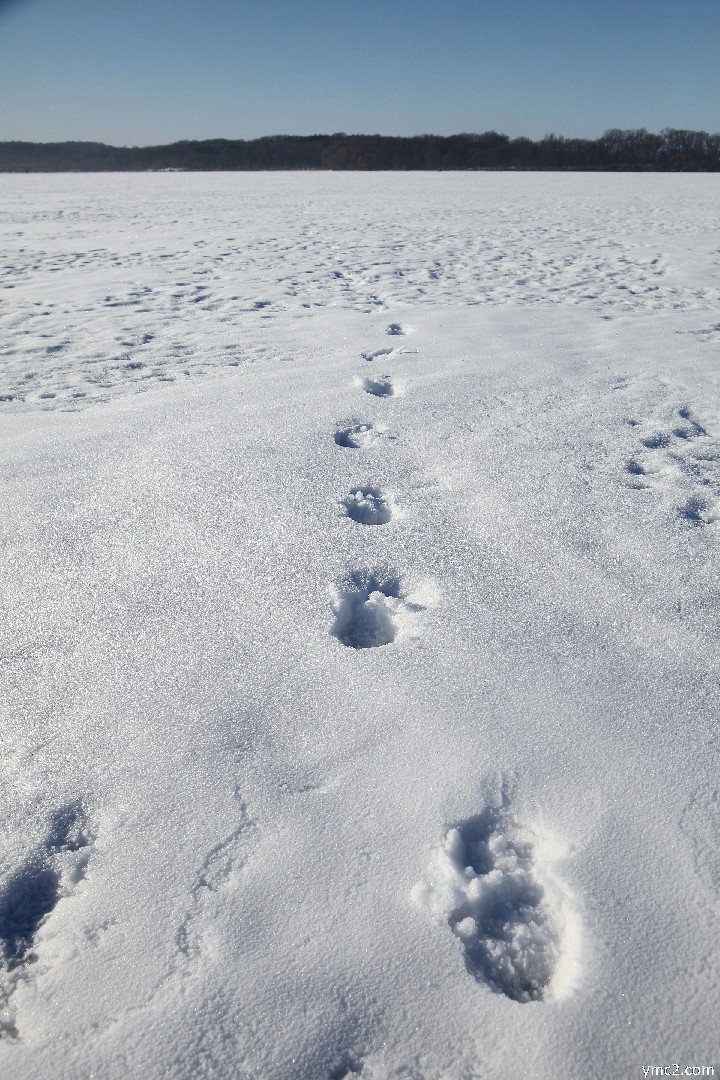 foot print