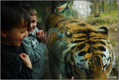 Children