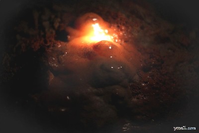 Jewel Cave
