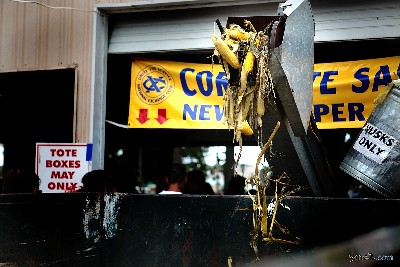 Corn Fest