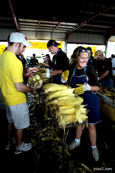 Corn Fest