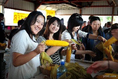 Corn Fest