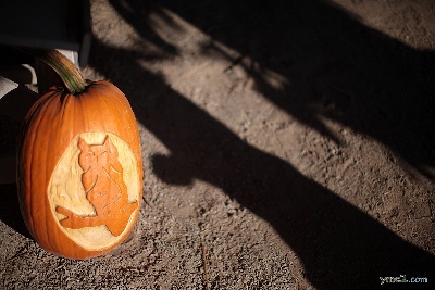 Pumpkin