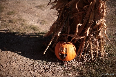Pumpkin