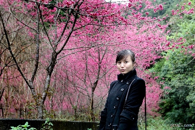 Vivienne