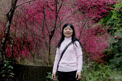 Mom